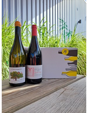 COFFRET COMPOSE VINS N°01